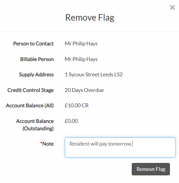 ccflag2.PNG